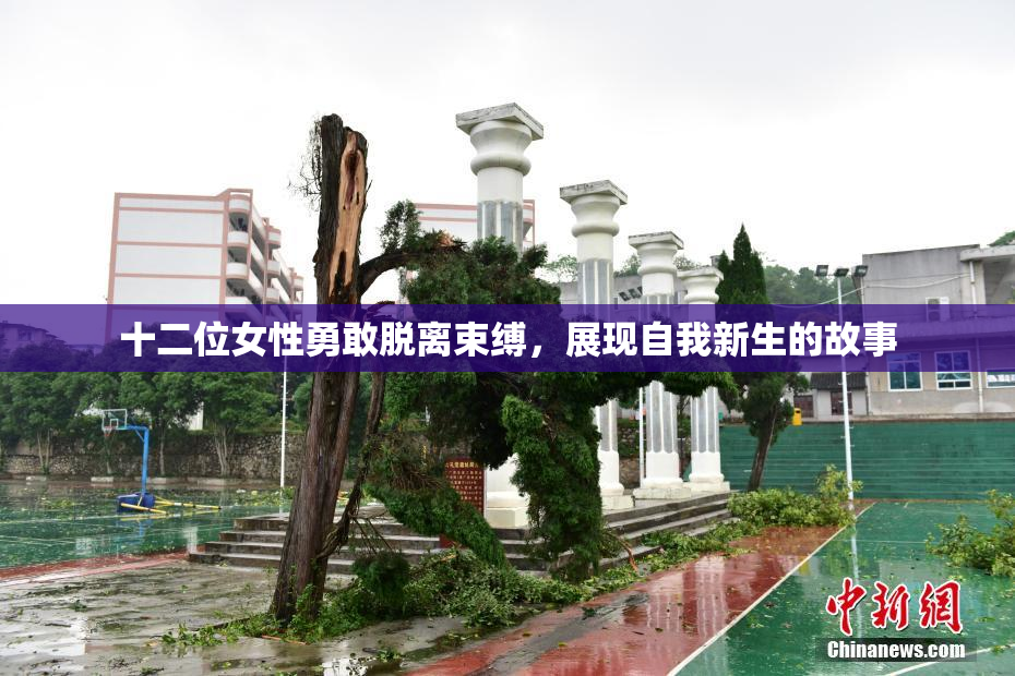 十二位女性勇敢脱离束缚，展现自我新生的故事