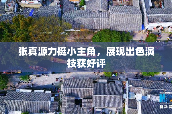 张真源力挺小主角，展现出色演技获好评