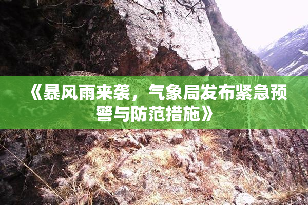《暴风雨来袭，气象局发布紧急预警与防范措施》