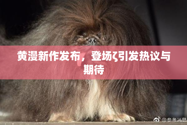 黄漫新作发布，登场ζ引发热议与期待