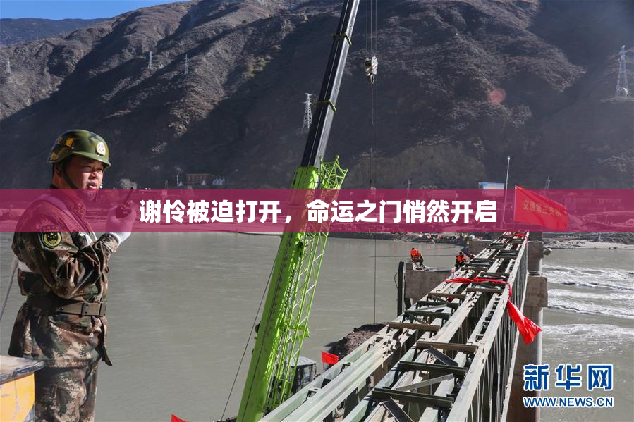 谢怜被迫打开，命运之门悄然开启