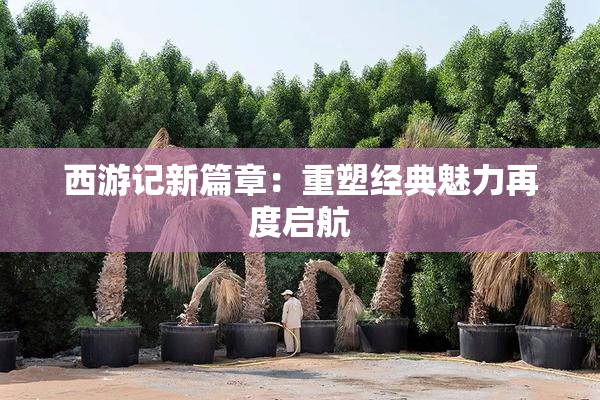 西游记新篇章：重塑经典魅力再度启航