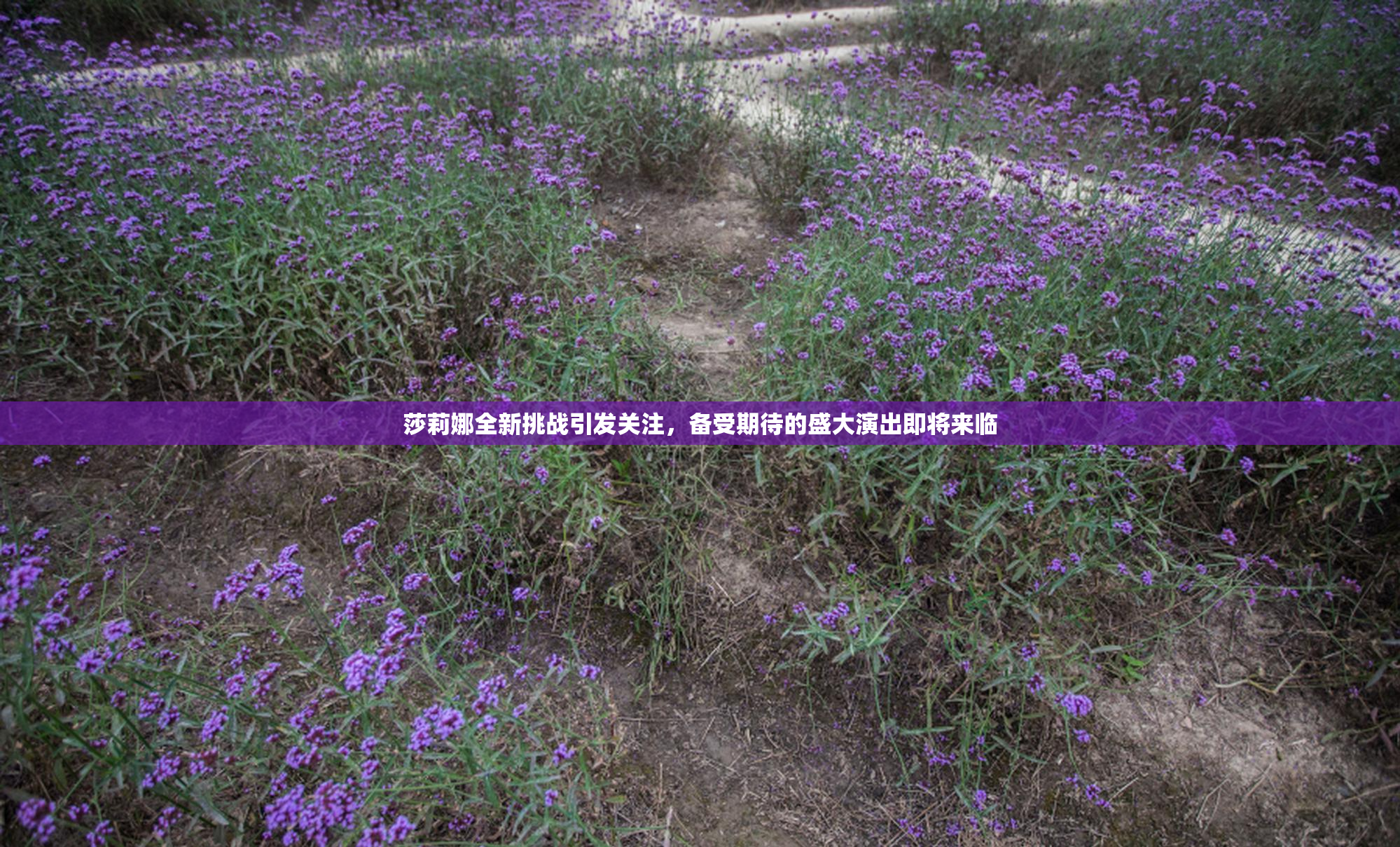 莎莉娜全新挑战引发关注，备受期待的盛大演出即将来临