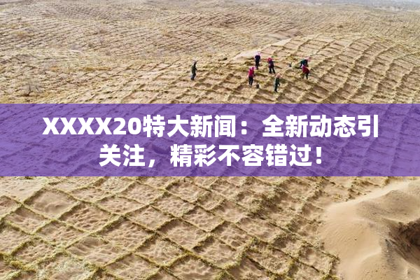 XXXX20特大新闻：全新动态引关注，精彩不容错过！