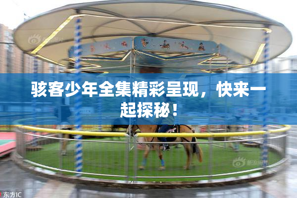 骇客少年全集精彩呈现，快来一起探秘！