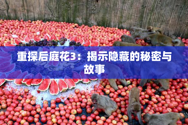 重探后庭花3：揭示隐藏的秘密与故事
