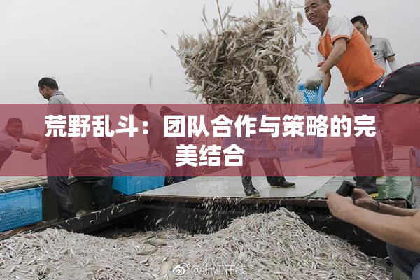 荒野乱斗：团队合作与策略的完美结合