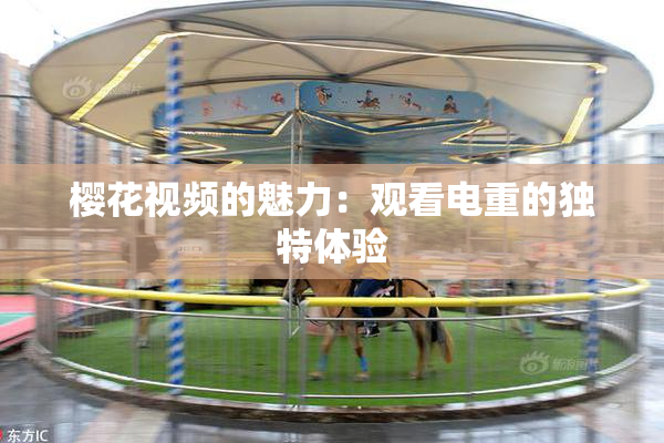 樱花视频的魅力：观看电重的独特体验
