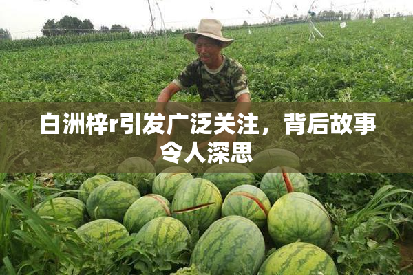 白洲梓r引发广泛关注，背后故事令人深思
