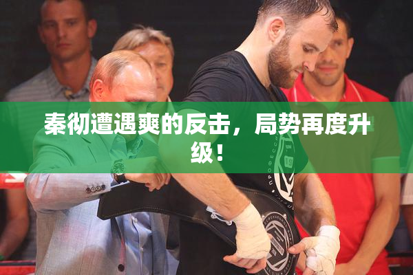 秦彻遭遇爽的反击，局势再度升级！