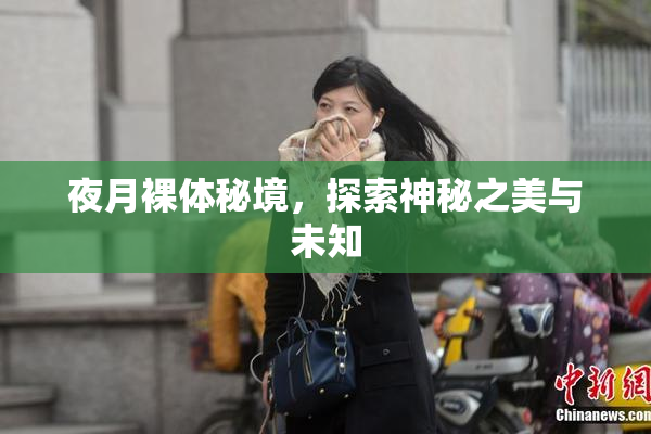 夜月裸体秘境，探索神秘之美与未知