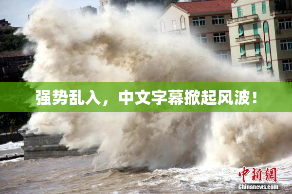 强势乱入，中文字幕掀起风波！