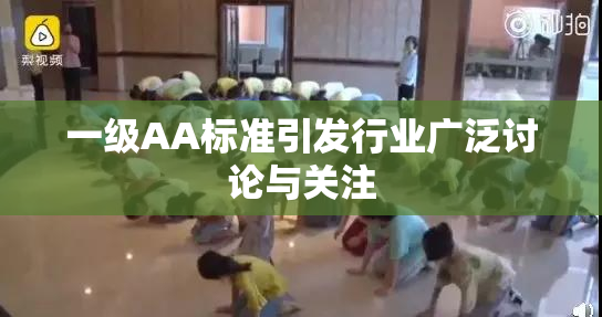 一级AA标准引发行业广泛讨论与关注