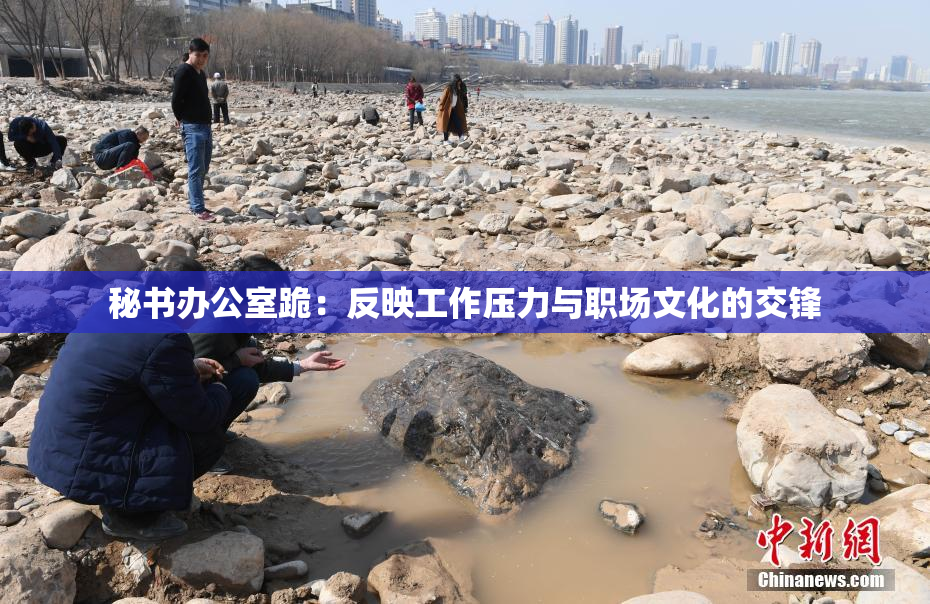 秘书办公室跪：反映工作压力与职场文化的交锋