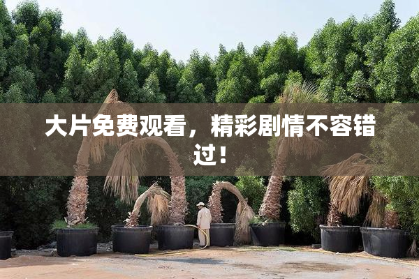 大片免费观看，精彩剧情不容错过！