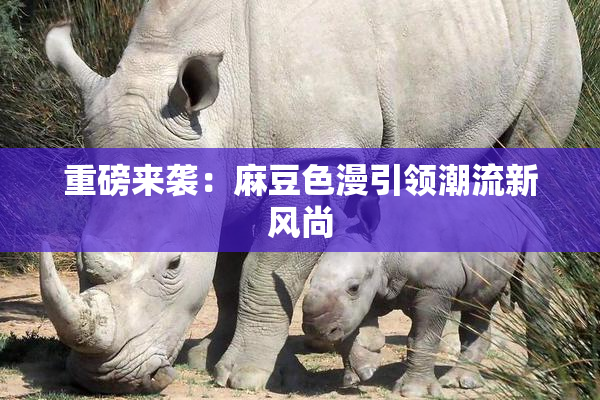 重磅来袭：麻豆色漫引领潮流新风尚