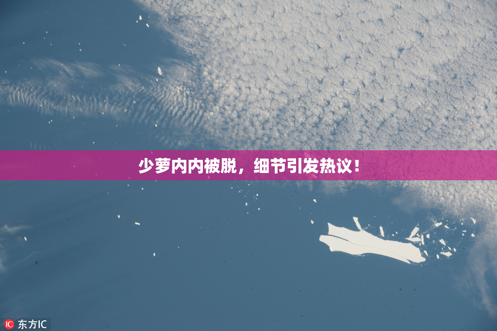 少萝内内被脱，细节引发热议！