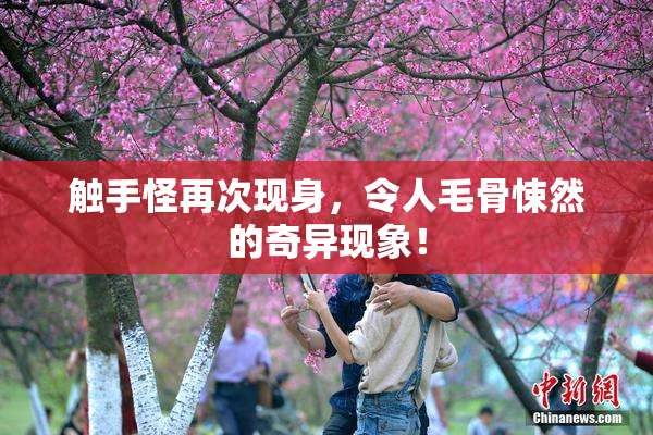 触手怪再次现身，令人毛骨悚然的奇异现象！