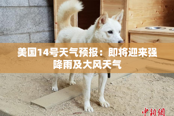 美国14号天气预报：即将迎来强降雨及大风天气
