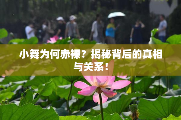 小舞为何赤裸？揭秘背后的真相与关系！