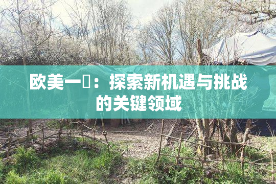 欧美一級：探索新机遇与挑战的关键领域