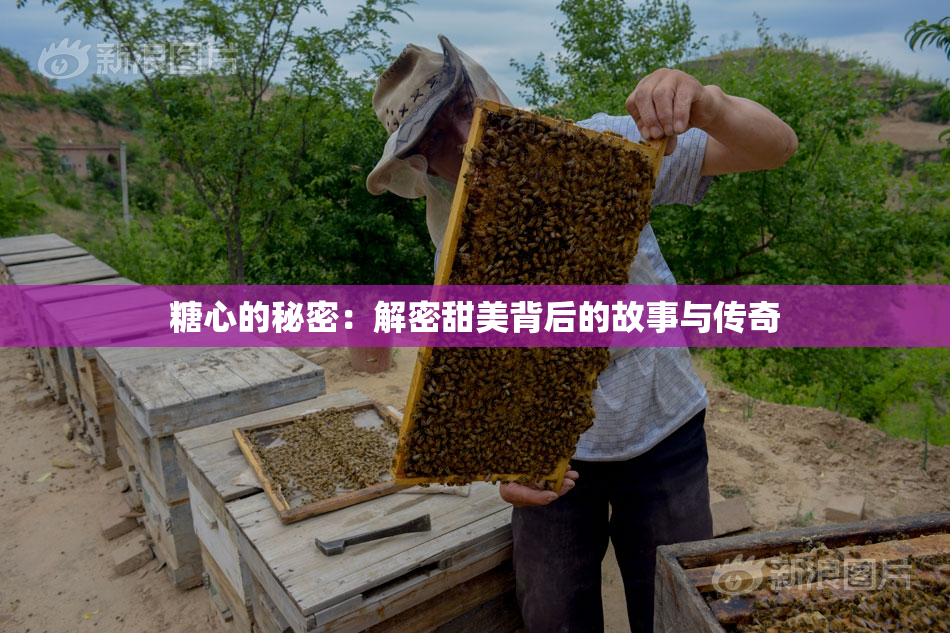 糖心的秘密：解密甜美背后的故事与传奇