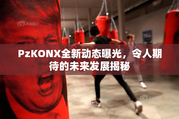 PzKONX全新动态曝光，令人期待的未来发展揭秘