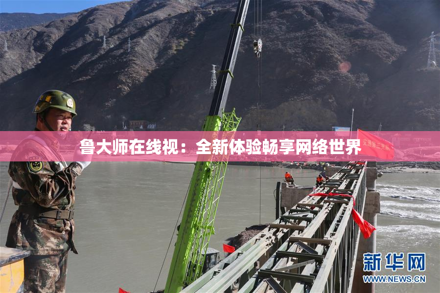 鲁大师在线视：全新体验畅享网络世界