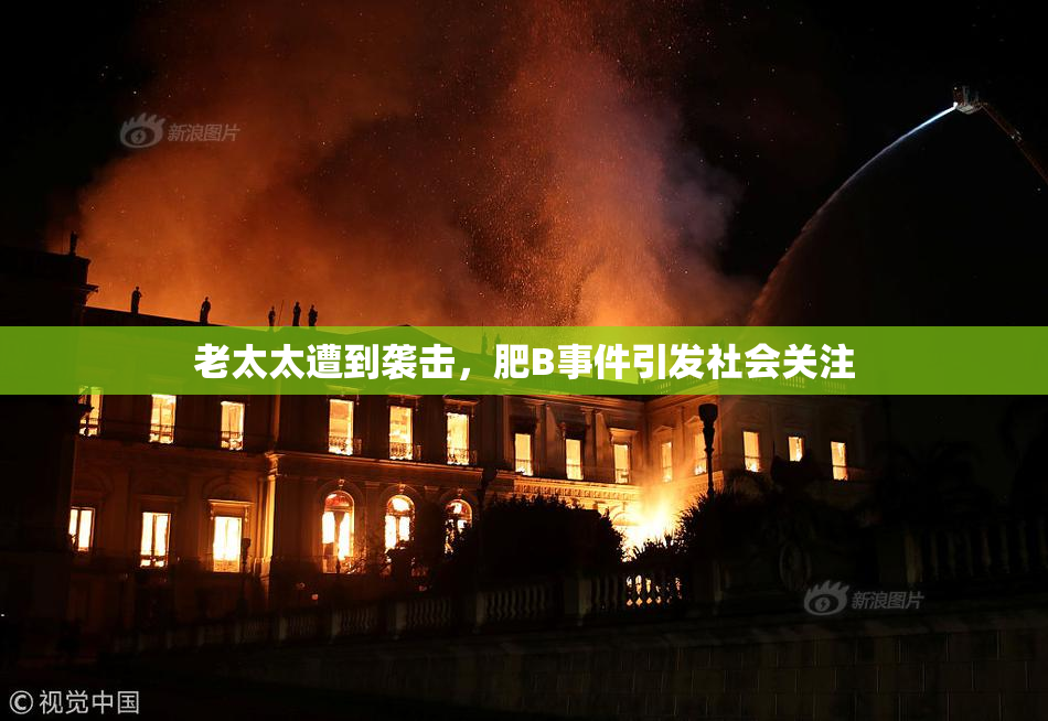 老太太遭到袭击，肥B事件引发社会关注