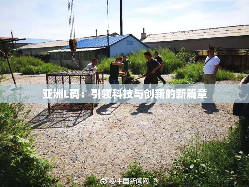亚洲L码：引领科技与创新的新篇章