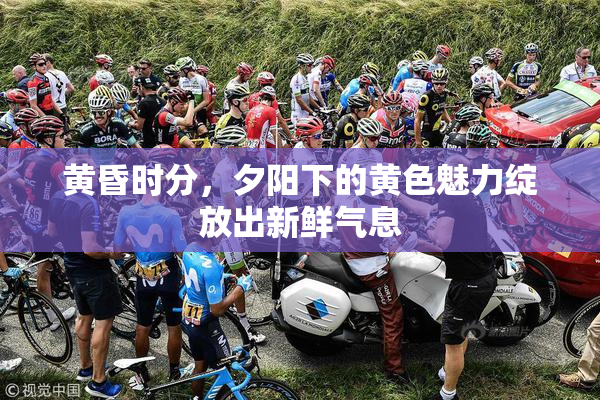 黄昏时分，夕阳下的黄色魅力绽放出新鲜气息