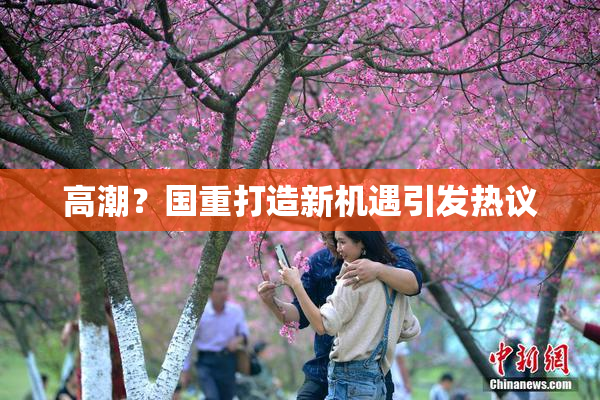 高潮？国重打造新机遇引发热议