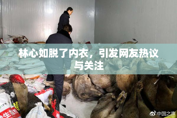 林心如脱了内衣，引发网友热议与关注