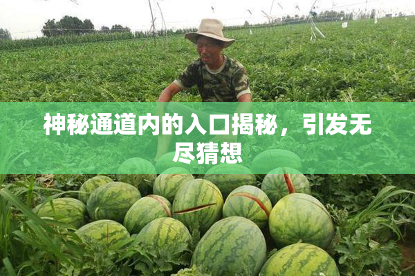 神秘通道内的入口揭秘，引发无尽猜想