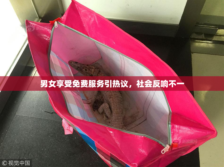 男女享受免费服务引热议，社会反响不一
