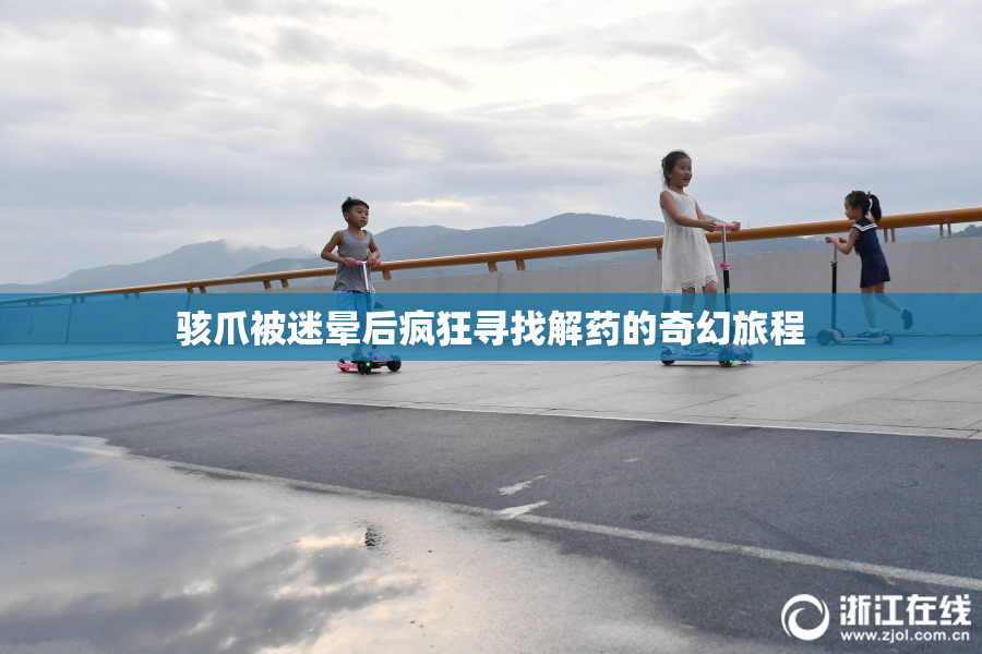 骇爪被迷晕后疯狂寻找解药的奇幻旅程