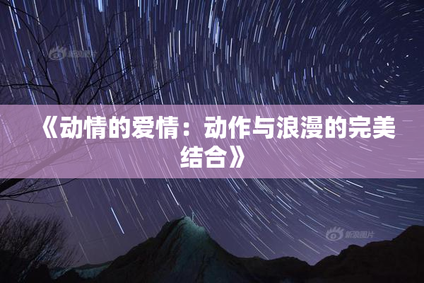 《动情的爱情：动作与浪漫的完美结合》