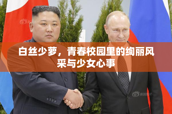 白丝少萝，青春校园里的绚丽风采与少女心事