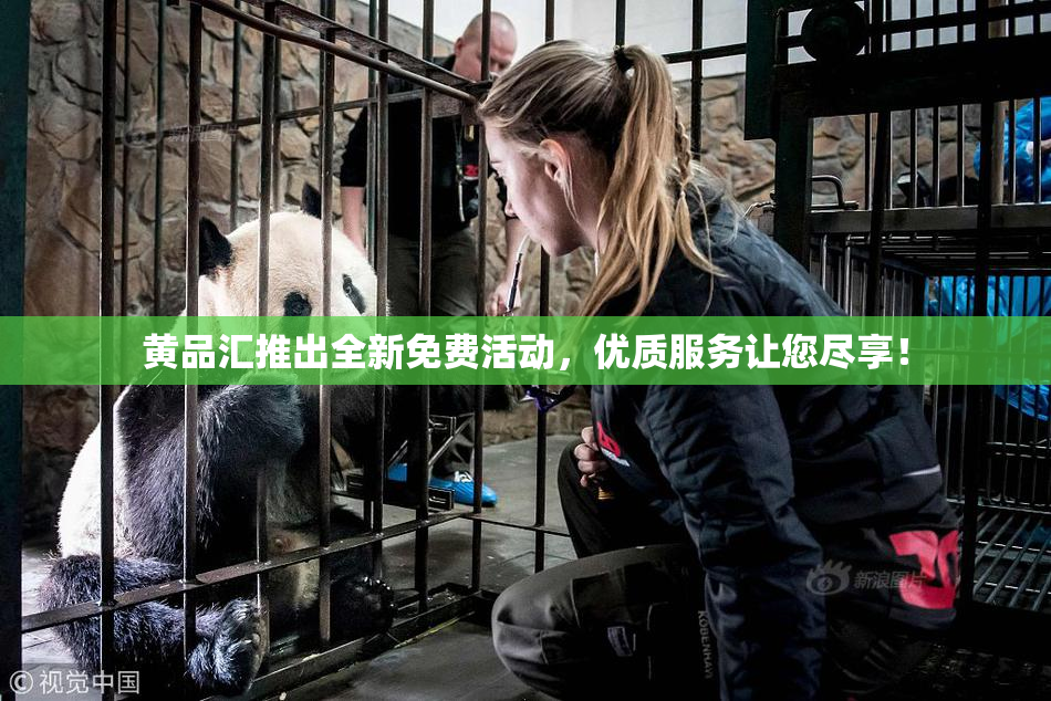 黄品汇推出全新免费活动，优质服务让您尽享！