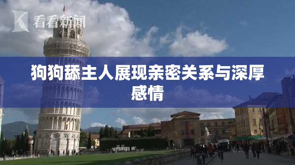 狗狗舔主人展现亲密关系与深厚感情