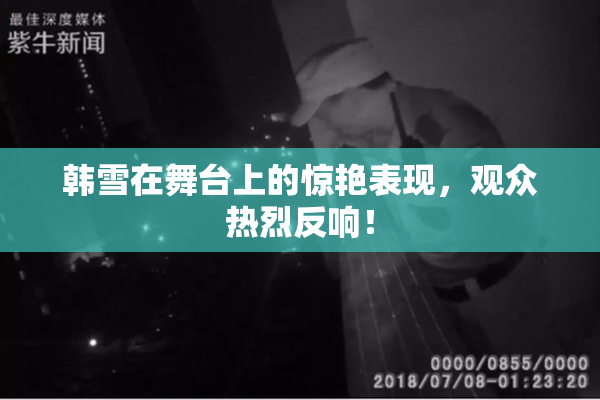 韩雪在舞台上的惊艳表现，观众热烈反响！