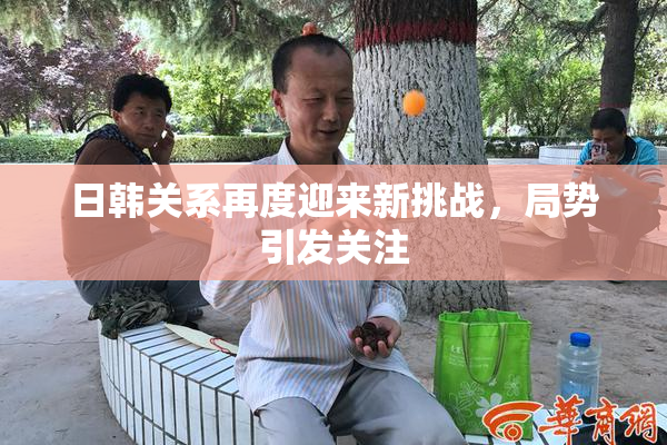 日韩关系再度迎来新挑战，局势引发关注