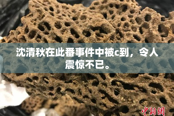 沈清秋在此番事件中被c到，令人震惊不已。