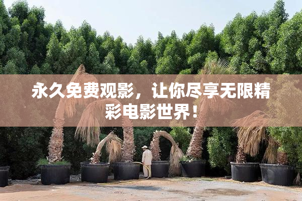 永久免费观影，让你尽享无限精彩电影世界！