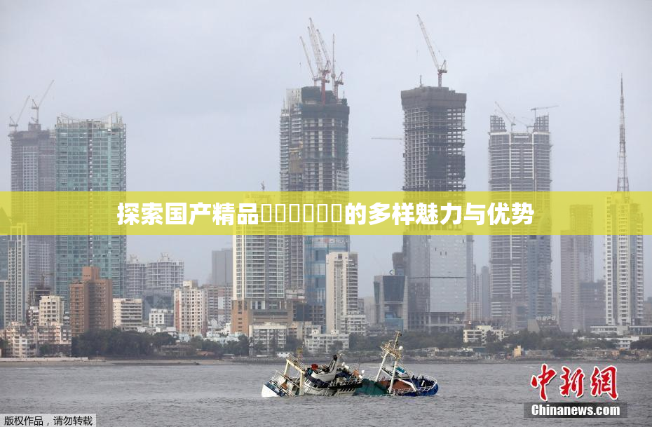 探索国产精品❌‌❌‌❌‌的多样魅力与优势
