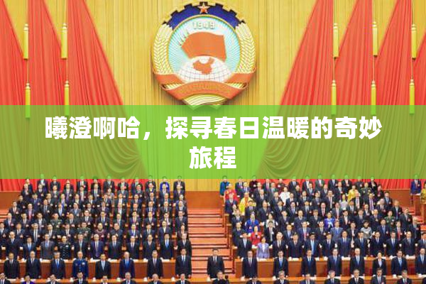 曦澄啊哈，探寻春日温暖的奇妙旅程