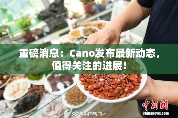 重磅消息：Cano发布最新动态，值得关注的进展！