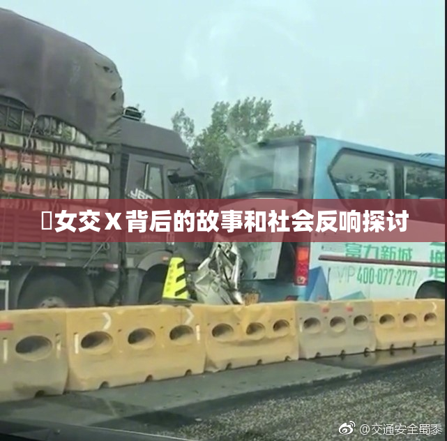 乣女交Ⅹ背后的故事和社会反响探讨