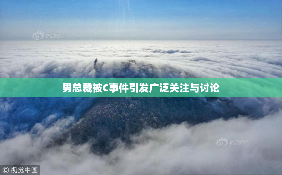 男总裁被C事件引发广泛关注与讨论