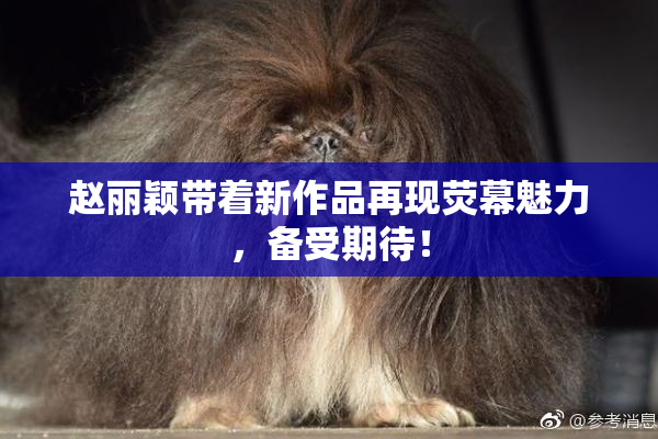 赵丽颖带着新作品再现荧幕魅力，备受期待！